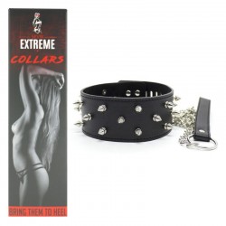Spiked Leather Collar With Leash